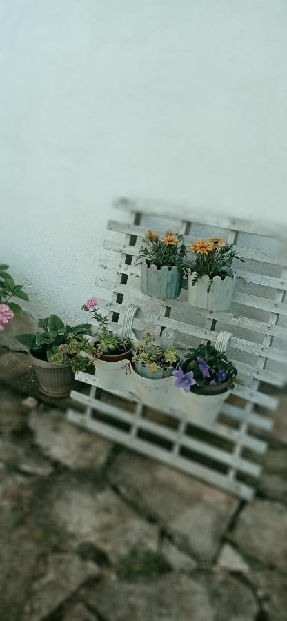 Apartment Silvija Вінішчє Екстер'єр фото